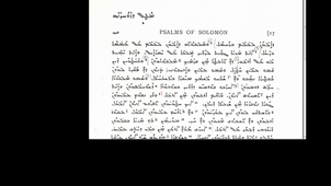 LSyr_ANALYSE-02_Ps_Salomon-17