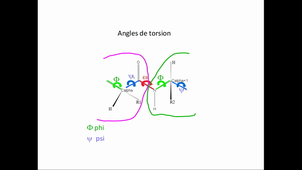 Torsion