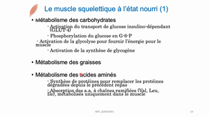 6BC12_ Intégration du métabolisme_partie 2_UE6_2021