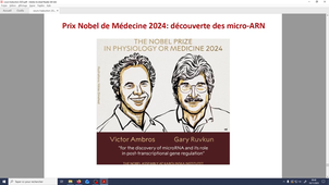 Code génétique et traduction 2