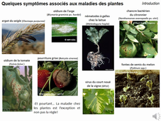 ISEP_Phytopath_Audio1