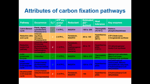 MMD3 - The microbial carbon cycle (end), the microbial nitrogen cycle