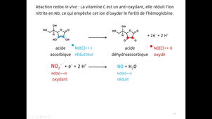 L1ScPS-UE1_Chapitre-11_01_2024