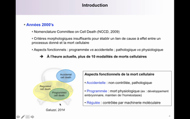 TCM_4_Mort cellulaire (1).mkv