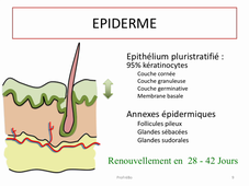 TD19N plastique partie 1