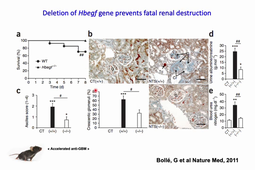 6-MESNARD-GNEC_DIU_LM_V1.mp4
