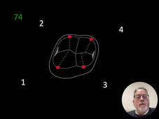 Morpho Cours-Temporaires 2025 avec son.mp4