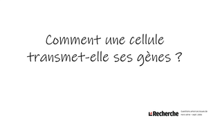 Comment une cellule transmet-elle ses gènes ?