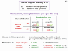 ISEP_Phytopath_Audio3