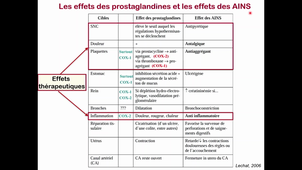 AINS - 2020-2021 - N.Etienne-Selloum