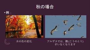 ARTUSO-季節について発表