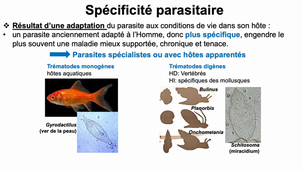 CM DMV 03 - Interactions Parasitisme