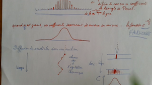 pourquoi_les_pics_de_chromatogramme_sont_gaussiens.mp4