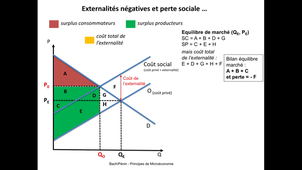 L1 capsule video 5 - Externalités et perte sociale ch5