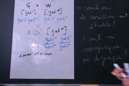 Exercice de cartographie chez S. cerevisiae