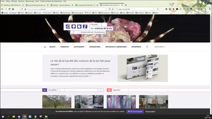 [TYPO3 ] Formation de mise à niveau