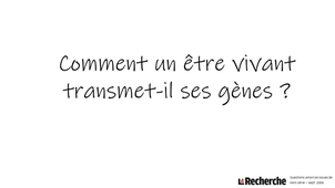 Comment un être vivant transmet-il ses gènes ?