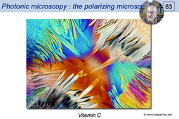 05 - Interference contrast dark field and polarizing microscopy.mp4