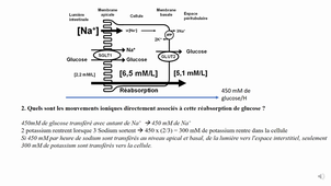 TD transport membranaire corrigé-nv