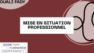 MSP OUALI FADY 2025
