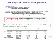 cours APBC-Modèle Physcomitrella