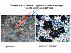 Microscopie et Régulations Cellulaires Cours N°4 Schmit