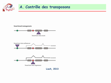 4-CMepigentransposons2
