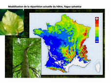 PPE BV Répartition des végétaux cours N°6 partie 3