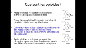 Antalgiques MEOPA Blocs.mp4