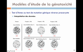 TCM_6_Etude de la génotoxicité (3).mkv