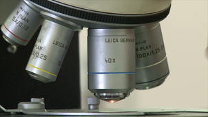 08-DUMONT-SERGE-microscopes-HD