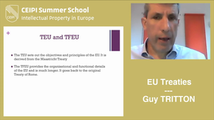 1. EU Treaties - Guy TRITTON