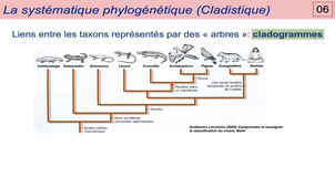 Module 20 - Systematique 1a - Cladistique.mp4