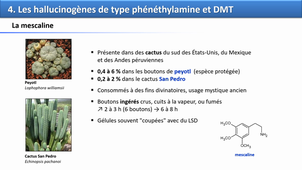 Psychotropes naturels 2/2