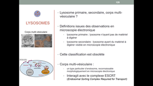 UE5 - Transport vésiculaire - Lysosome - Peroxysome