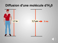 Introduction aux Grandes Fonctions Physiologiques
