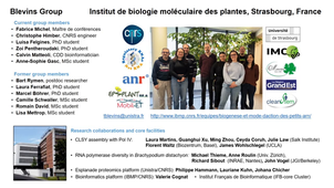 AI in Molecular Biology