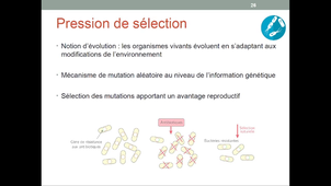 Applications_en_biologie_cellulaire_partie1