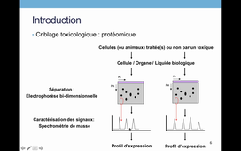 TCM_5_Modèles et méthodes d'étude de la cytotoxicité (1).mkv