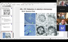 Q&A Microscopy Tools 251128