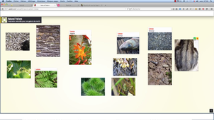 Tutoriel murs virtuels collaboratifs