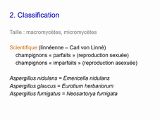 DFGSO2 Microbiologie-Mycoses 1ère partie