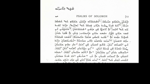 LSyr_ANALYSE-03_Ps_Salomon-17