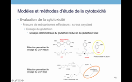 TCM_5_Modèles et méthodes d'étude de la cytotoxicité (3).mkv
