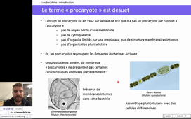 CM Biodiversité L1SpS - Les bactéries (cours 1)