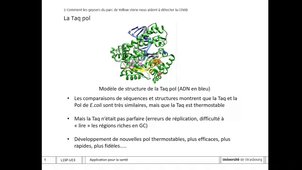 UE5 Application pour la santé Lehmann