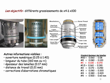 V3 MRC2