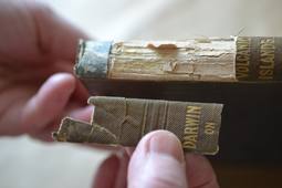 Conserver la couverture (Ouvrage de Charles Darwin,1844)