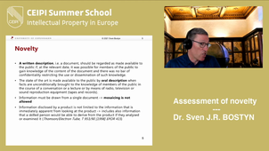 1. Assessment of novelty - Sven BOSTYN