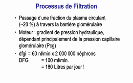 Physiopathologie de l'insuffisance rénale chronique et des mécanismes de progression